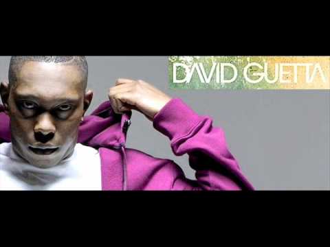 Dizzee Rascal vs David Guetta - Flexy Bitch (MASH UP)