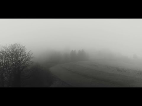 Mayales - Divlje pastrve