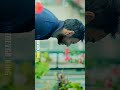 Ajay Devgn Shivaay Status