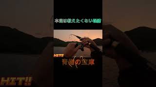 本当は教えたくない。大物が釣れる堤防シリーズ⑲#shorts #釣り #ショアジギング
