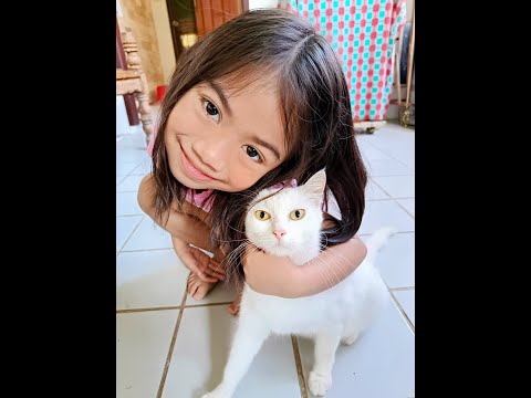 Arsha and Snowy My Pet Cat
