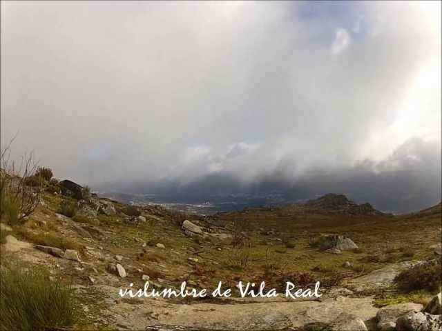 Gont&atilde;es ao Ermelo