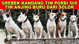 Download lagu GREBEK Kandang Anjing Pemburu Tim Porbi 505 Solok Sumatera Barat mp3 Download lagu GREBEK Kandang Anjing Pemburu Tim Porbi 505 Solok Sumatera Barat mp3