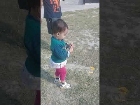 Playing in ground and she like pet animals