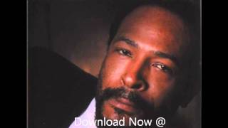*NEW*(High Flying) Marvin Gaye Sample