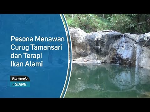 Akar emas untuk impotensi Pil potensi Impaza