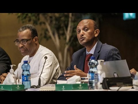 Pics of the day: November 3, 2021