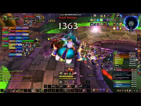 WOTLK  Assassination Rogue POV - Nax25 Anub'Rekhan (99% Parse)