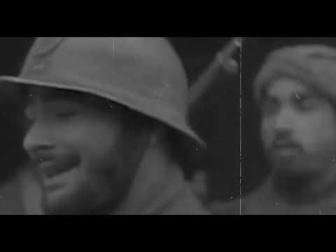 Nizzy Bee - LION D'ATLAS