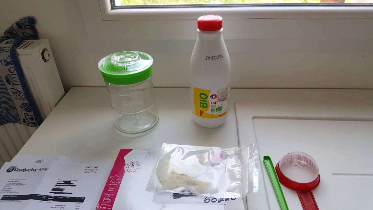 Achat des grains de kéfir de lait