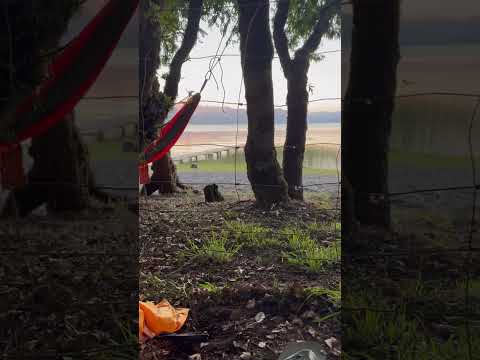 Lago Calafquén - Panguipulli - CL