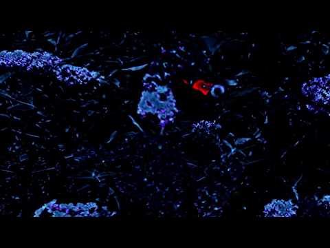 Misty Bywater - Temporarily, Butterfly