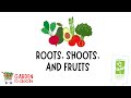 Roots Shoots And Fruits