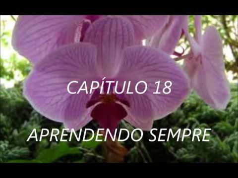 video thumnail