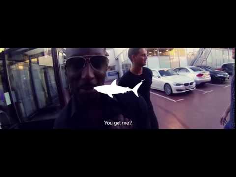 SHARKLIFE X KADEY JAMES