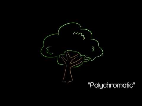 Video thumbnail for Polychromatic