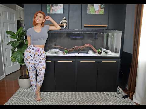 125 Gallon tank Set Up and Ready To Go - FULL VIDEO