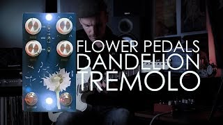 Video thumbnail for Flower Pedals: Dandelion Tremolo by Demos In The Dark