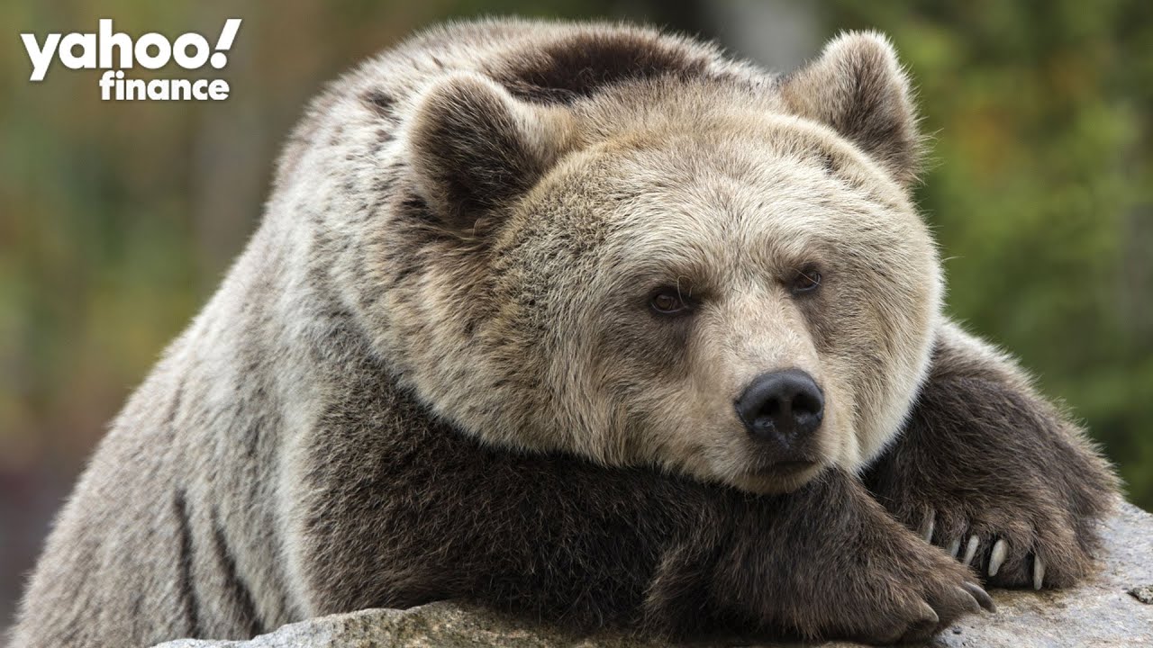 The reasons to stay a ‘long-term’ bear despite the market rally