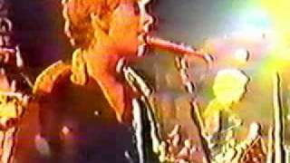 Stiff Little Fingers - Barbed Wire Love