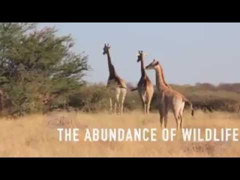 Destination: This is Namibia