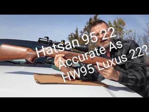 Hatsan 95 .22 Accurate As Weihrauch HW95 Luxus 22?