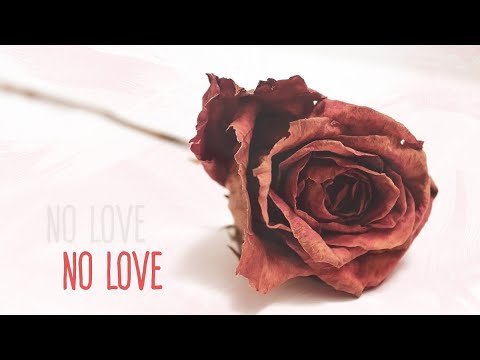 Melodioso - No Love