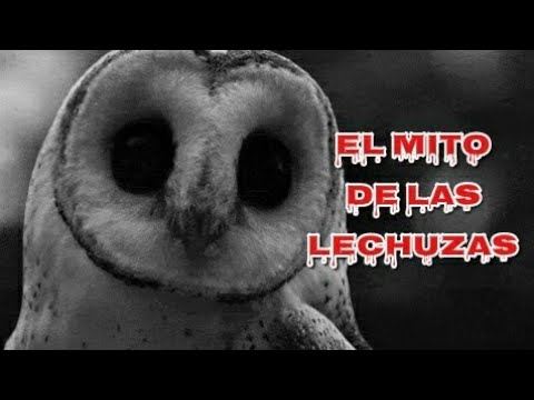 El MITO DE LAS LECHUZAS / VERDAD VS LEYENDA (ChecoTop)
