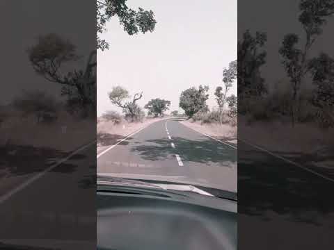 Live Alone #alone #motivation #nature #car #vlogger #roadlife #travel #trending #shorts #tree