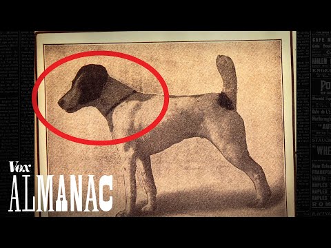 史上唯一一隻達成連三冠的狗狗！ (Was this the greatest dog of all time?)