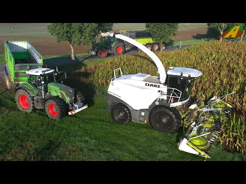 Maishäckseln 2022 weißer JAGUAR Häcksler Traktor Fendt Kühe Landwirtschaft Farmer Ernte Corn Harvest