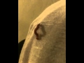 Slimy The Worm