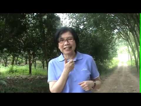 ตอนที่ 14
