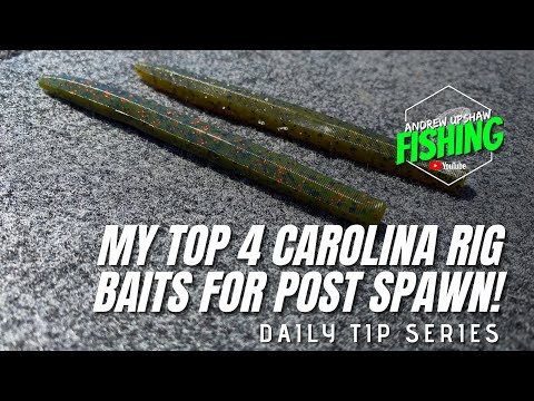 Pro Secrets Exposed! My Top 4 Carolina Rig Baits for Post Spawn! (Ep. 23)