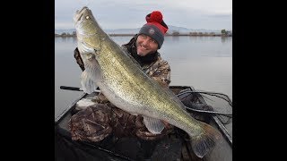 Adácsi süllők nyomában - FEEDERMANIA