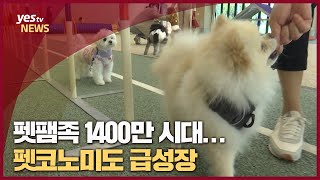 [yestv뉴스] 펫팸족 1400만 시대...펫코노미도 급성장