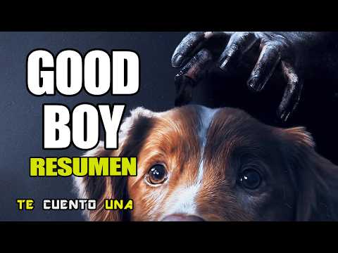 El director de 'Good Boy', sobre su perrete Indy, trucos de cámara y el superpoder de su película: "Rodamos ocho segundos de metraje al día durante tres años"