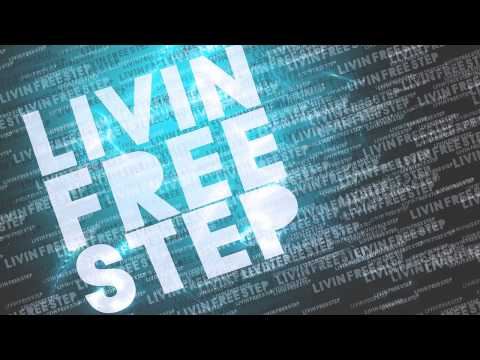 Calvin Harris Ft Example We'll Be Coming Back (Anndyk Remix) LivinFreeStep