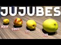 Jujubes! - What are they and what are the different types? (Chinese, Thai & Indian Jujube)