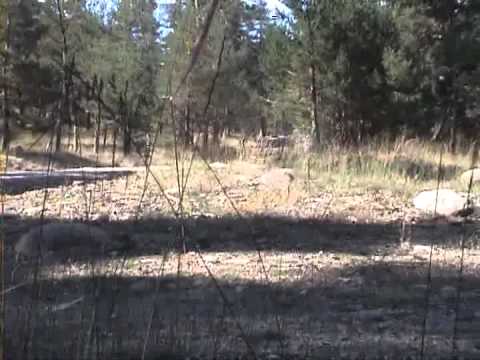 Serhat Oztemir   Hitit Rallisi 2010