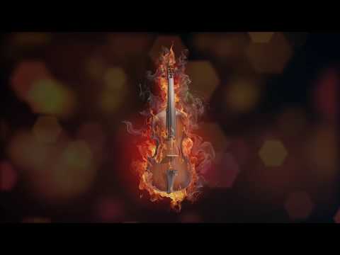 Cello Octet Amsterdam - Joep Beving -"Beving: Hanging D"