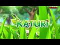 Katuri Song with lyrics | Katuri | Kiddo Planetz