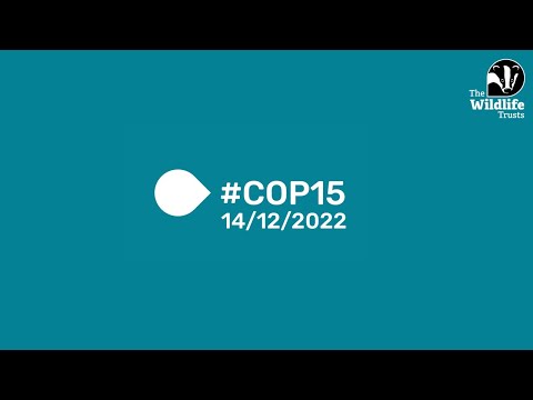 The Wildlife Trusts' #COP15 Update 14/12/2022 (from Montreal)
