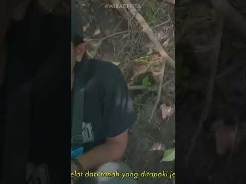 hijau biru coklat // #komikaindonesia #wiranagara #standupcomedy #standupcomedyindonesia