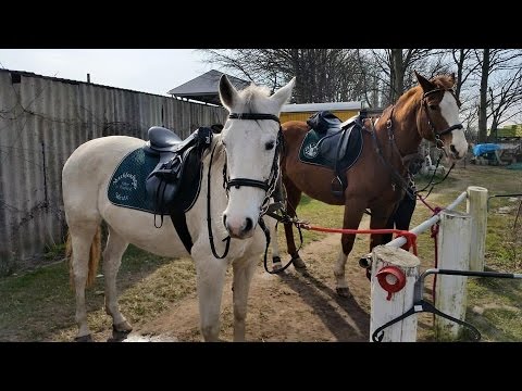 Rügen ! Nationalpark Jasmund ! Ausritt mit Jessica und Nico am  17.03.2015