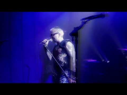 Renaud Hantson 's Furious Zoo - Why Dontcha (live)