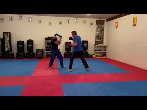 Shell Guard Defense - Self-Defense and Sparring - Lesson 5