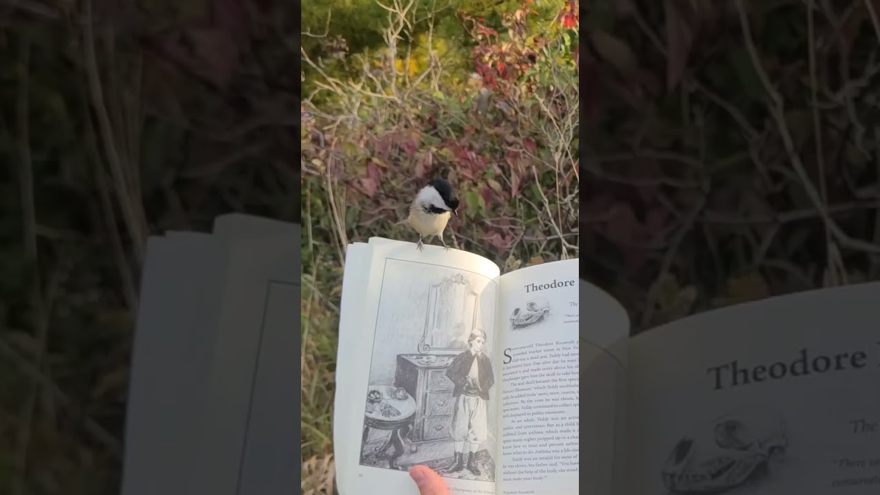 Cute Birds Trying to Read a Book About Earth Heroes