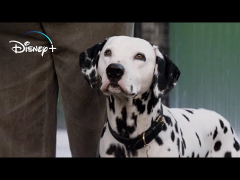 Los cachorros vuelven a Casa – 101 Dálmatas (Español Latino HD)
