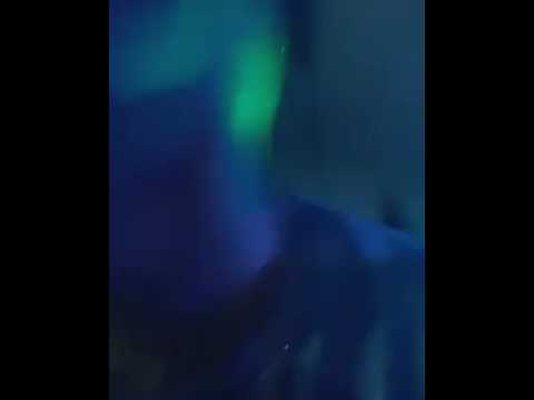 MC KELVINHO DO RECIFE - AO VIVO NA PISCINA SAMBA SHOW